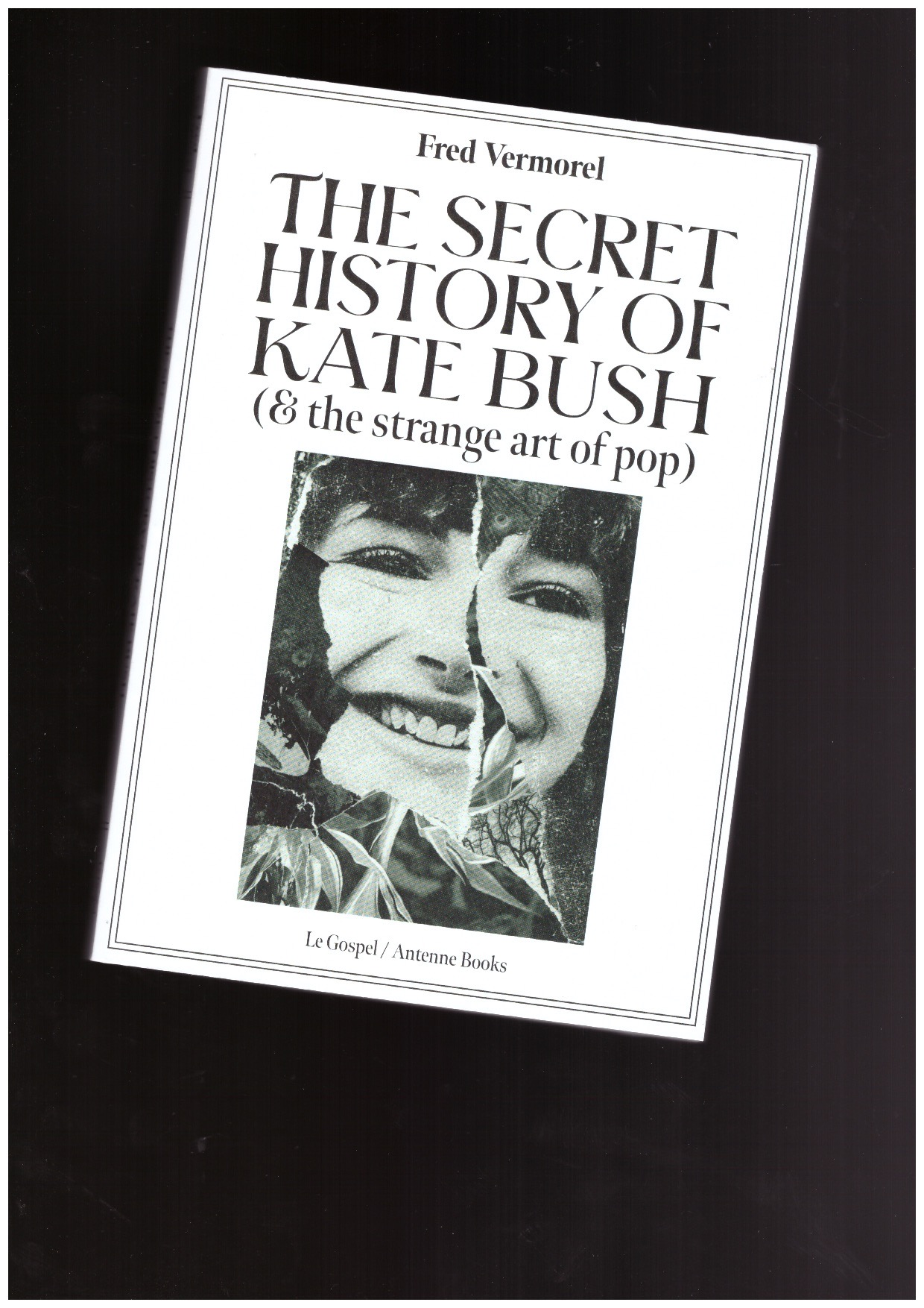 VERMOREL, Fred - The Secret History of Kate Bush